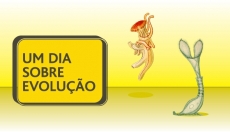 UM DIA SOBRE EVOLUÇÃO