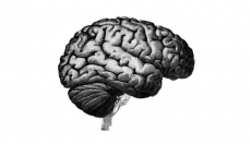 COMBATE AO ESTIGMA E PROMOÇÃO DA SAÚDE MENTAL
