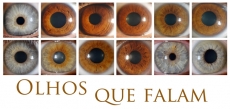 VISÕES. O INTERIOR DO OLHO HUMANO